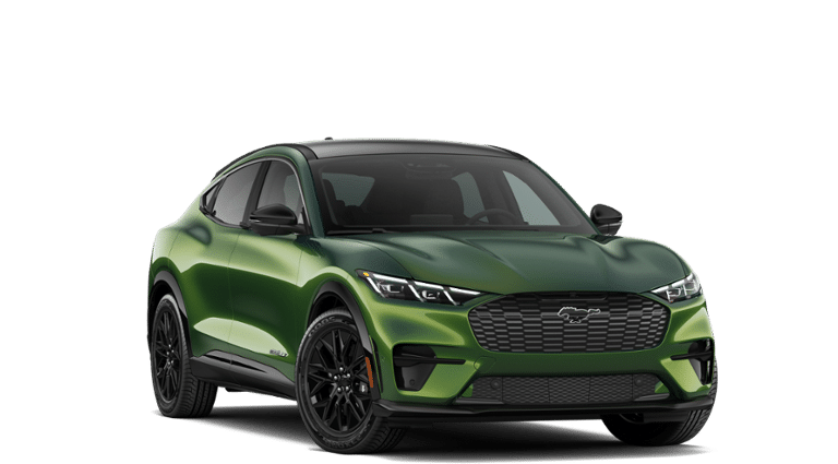 Mustang Mach-E® vehicle